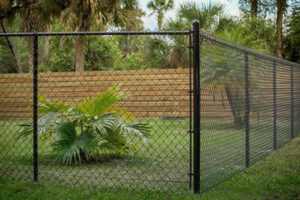 Privacy Fence